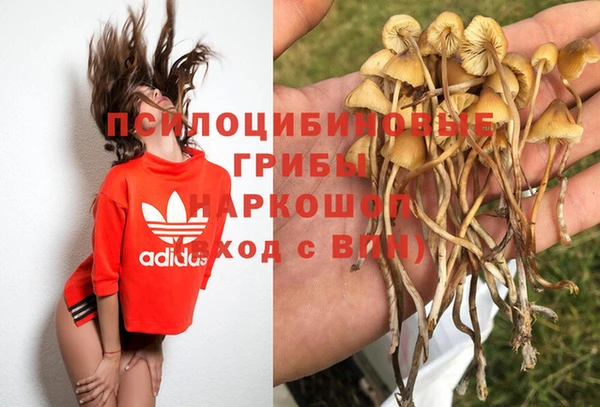 первитин Вязьма