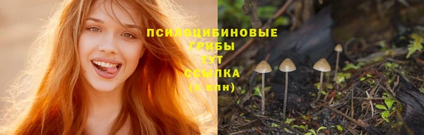 ГАЛЛЮЦИНОГЕННЫЕ ГРИБЫ Вязники