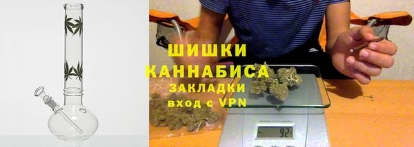 ГАЛЛЮЦИНОГЕННЫЕ ГРИБЫ Вязники