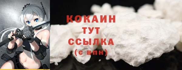 ГАЛЛЮЦИНОГЕННЫЕ ГРИБЫ Вязники