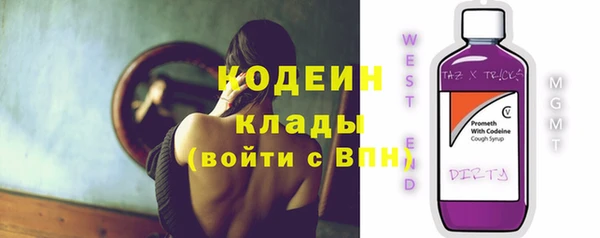 гашик Вяземский