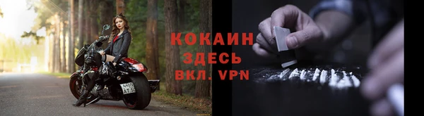 ГАЛЛЮЦИНОГЕННЫЕ ГРИБЫ Вязники
