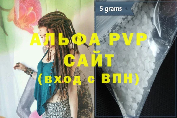 гашик Вяземский