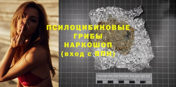гашик Вяземский