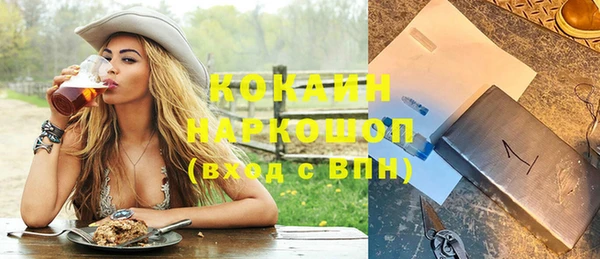 ГАЛЛЮЦИНОГЕННЫЕ ГРИБЫ Вязники