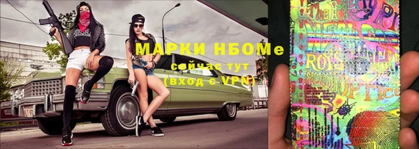 гашик Вяземский