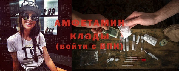 гашик Вяземский
