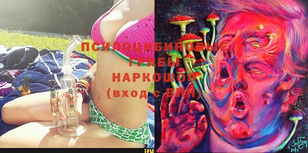 ГАЛЛЮЦИНОГЕННЫЕ ГРИБЫ Вязники