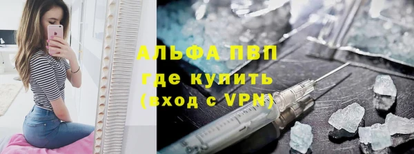 гашик Вяземский