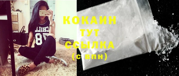 гашик Вяземский
