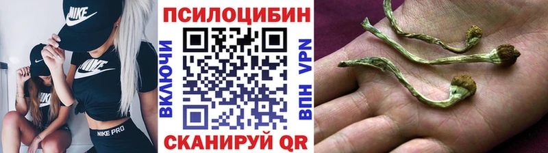 купить наркотики сайты  Онега  Галлюциногенные грибы ЛСД 
